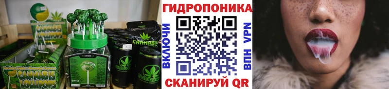 Canna-Cookies марихуана  Белый 