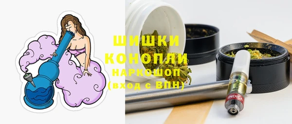 прущие грибы Абдулино