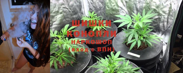 прущие грибы Абдулино